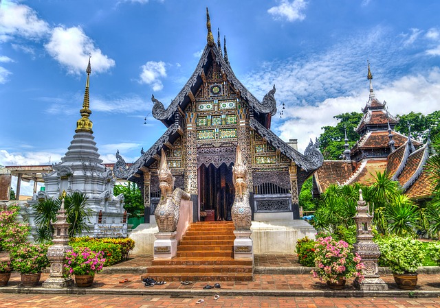 Elefantes en Chiang Mai Tailandia